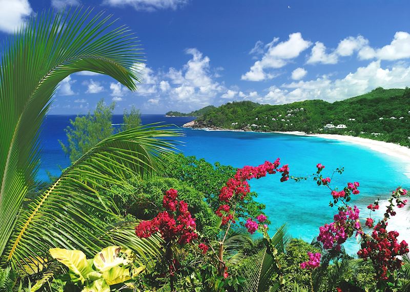 Coastal scenery, Mahé