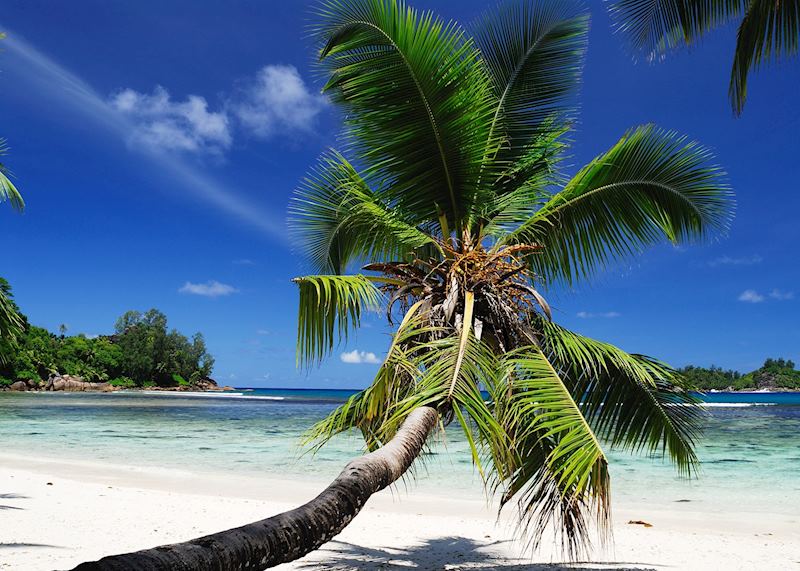 One of Mahé's beautiful beaches
