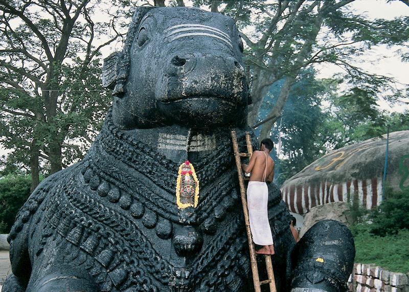 Nandi Bull, South India