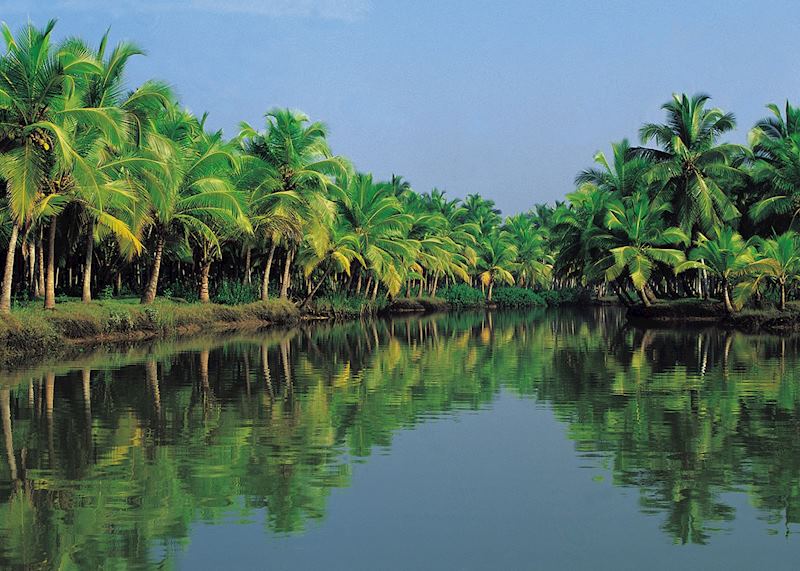Backwaters of Kerala