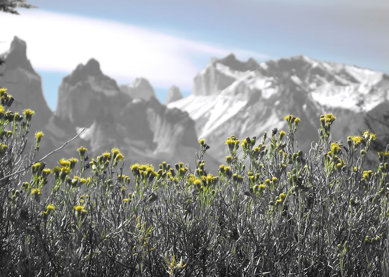 Torres del Paine National Park