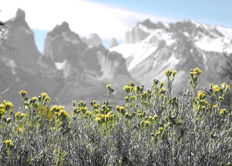 Torres del Paine National Park