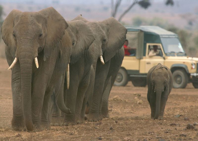 Game-viewing in Amboseli from Tortilis Camp