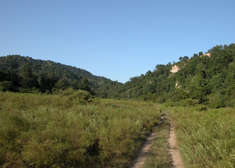 Corbett National Park