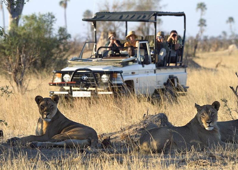 Game drive in Hwange National Park