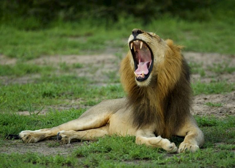 Selous Game Reserve, Tanzania