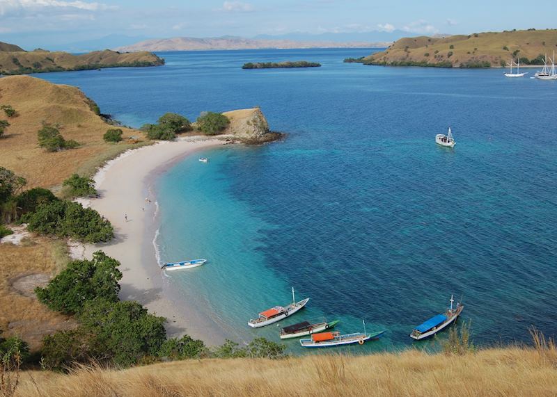 Komodo Island, Indonesia