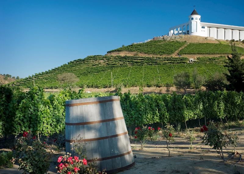 Typical winery and vineyard, Colchagua Valley, Chile