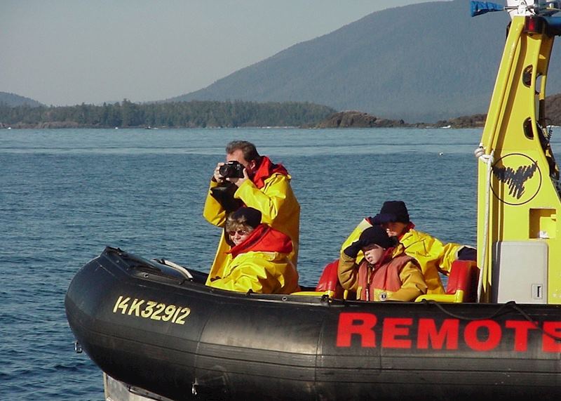 Whale watching by Zodiac, Tofino