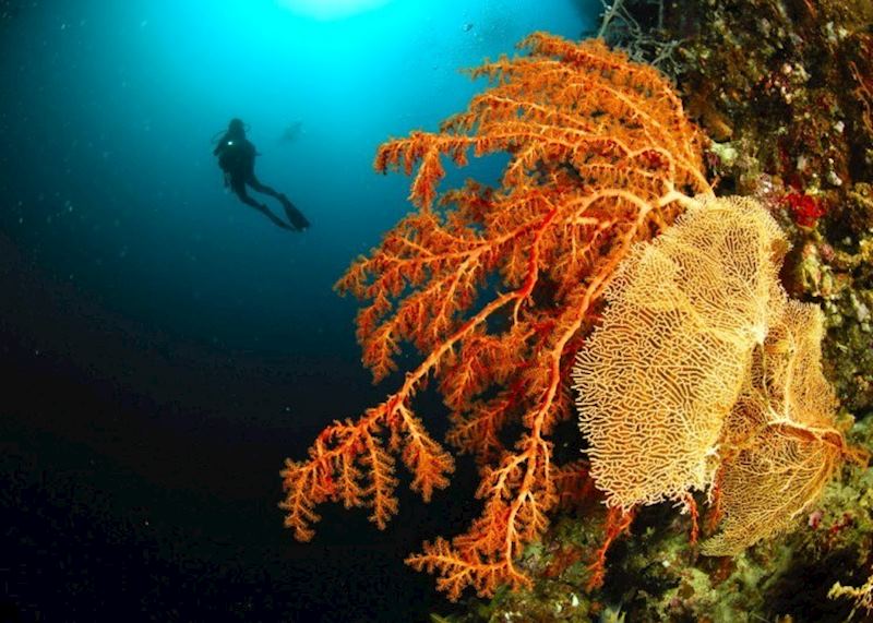 Diving around Komodo, Indonesia