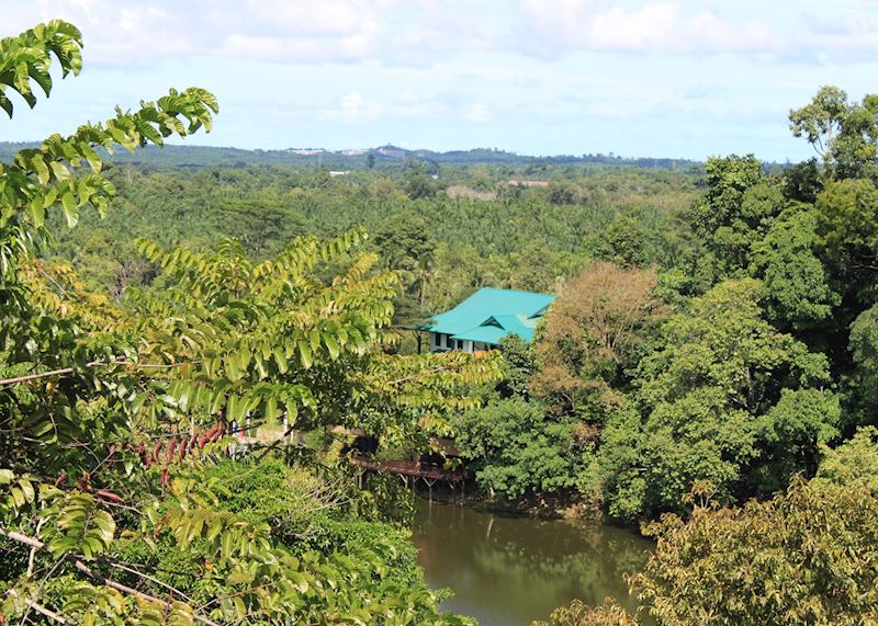 View from watchtower, Rainforest Discovery Centre, Sandakan