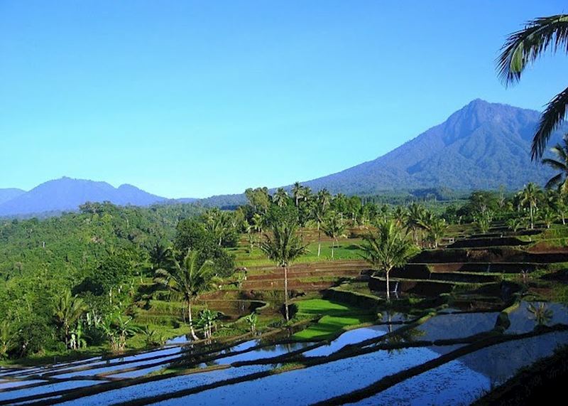 Scenery inland from Medewi, Indonesia