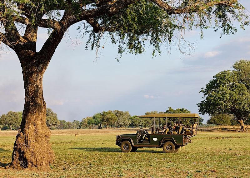 Game drive with the Bushcamp Company