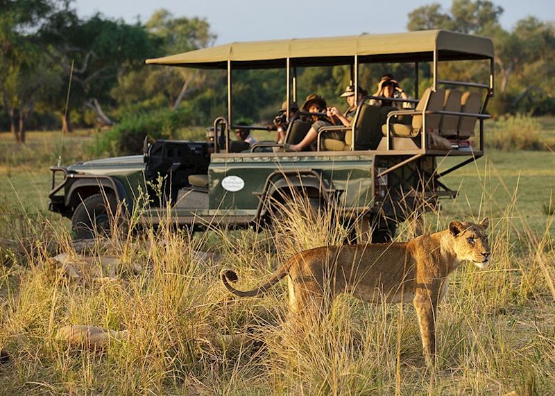Game drive with the Bushcamp Company