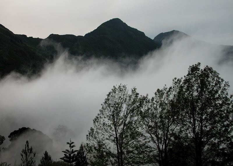 Munnar, India