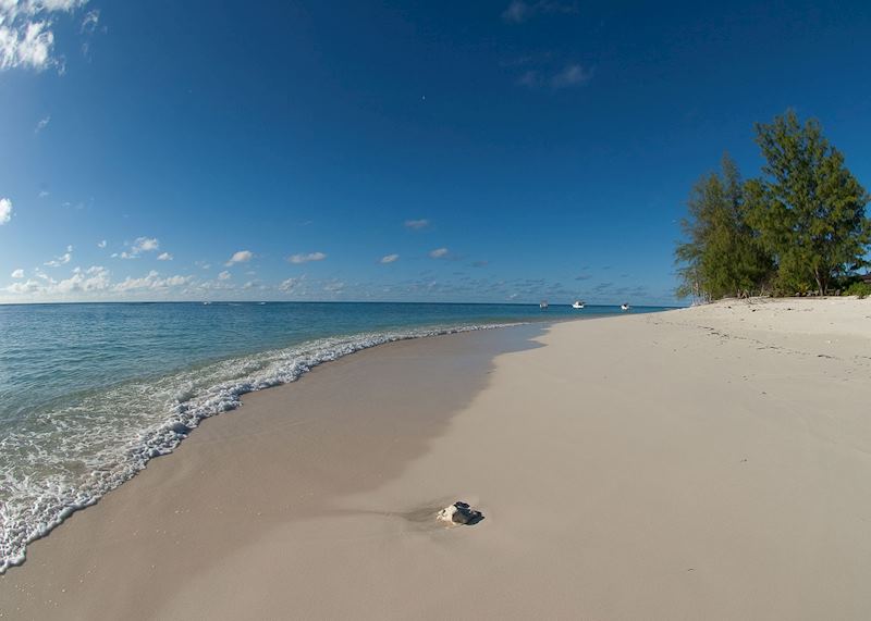 Deserted beach, Denis Island