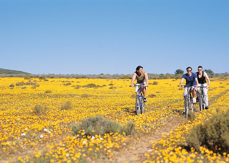 Mountain biking from Bushman's Kloof