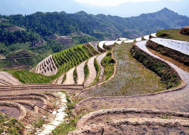 Rice terraces, Longji
