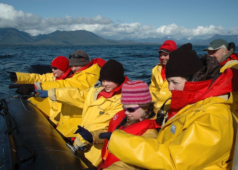 Whale watching from Tofino