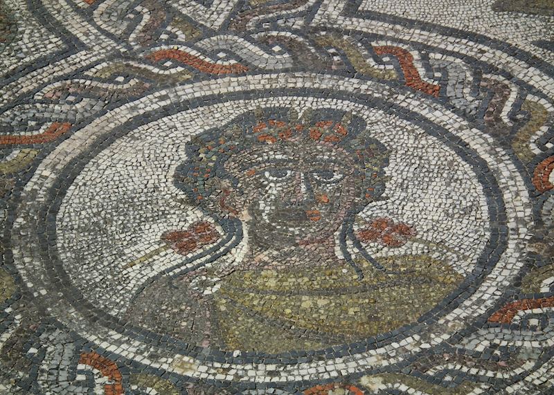 Mosaic at Volubilis, Morocco