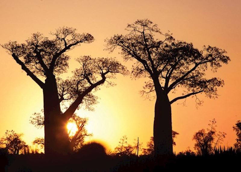 Ifotaka Community Forest, Madagascar
