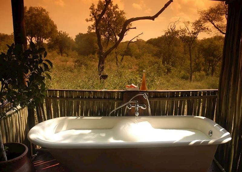 Chapungu Luxury Tented Camp, Thornybush Private Game Reserve