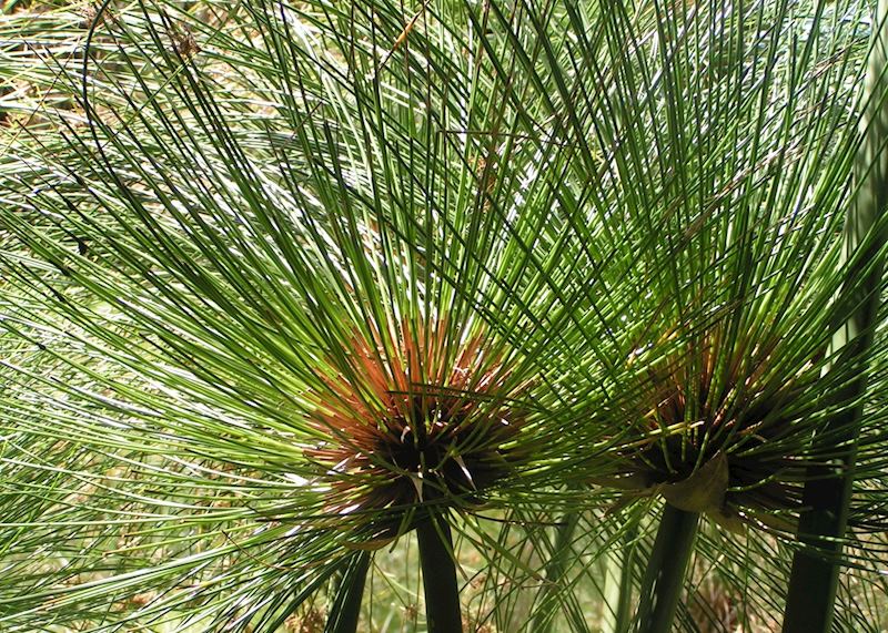 Tsitsikamma National Park