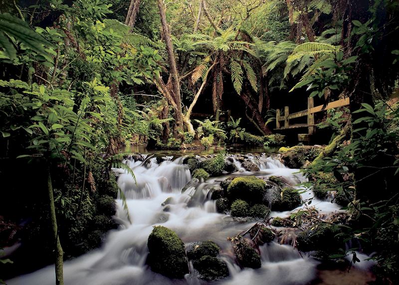 Rainbow Springs, Rotorua