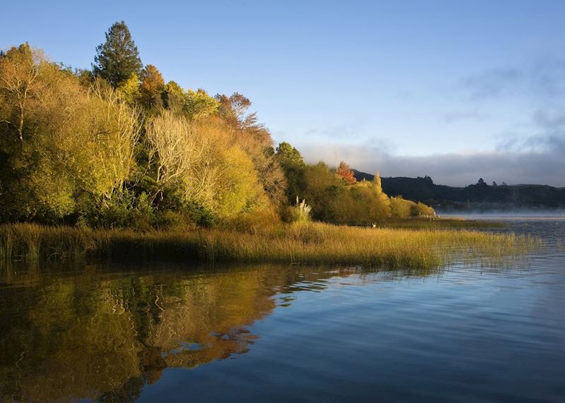 Lake Rotorua