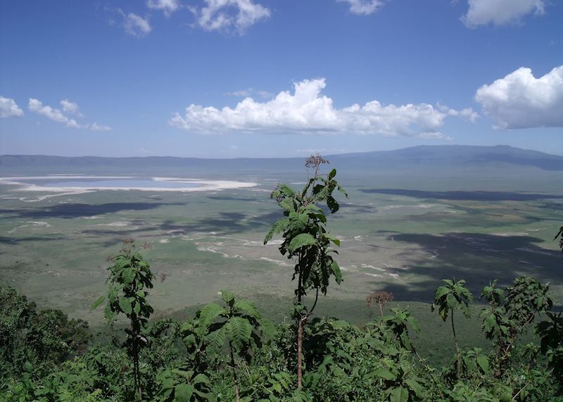 Ngorongoro Crater