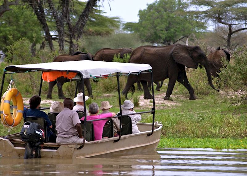 Boat safari in the Selous Game Reserve