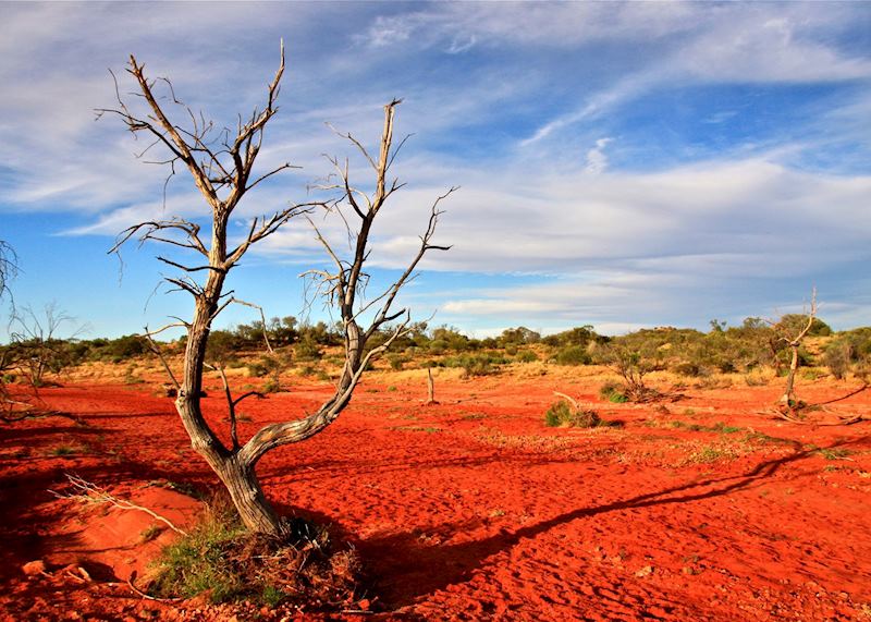 Dried river bed near Mount Conner