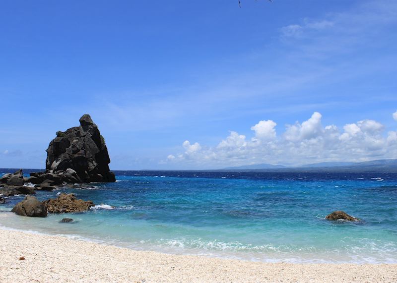 Apo Island, Dumaguete, Philippines