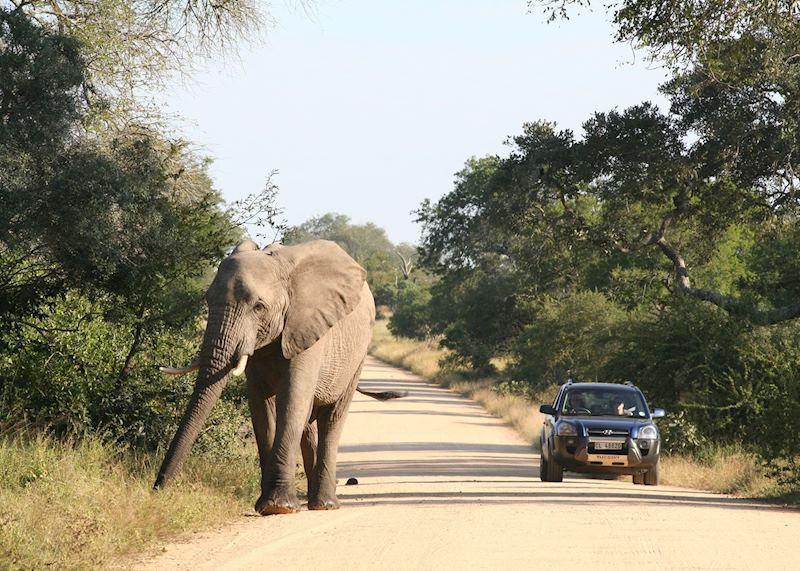 Self-driving in the Kruger National Park