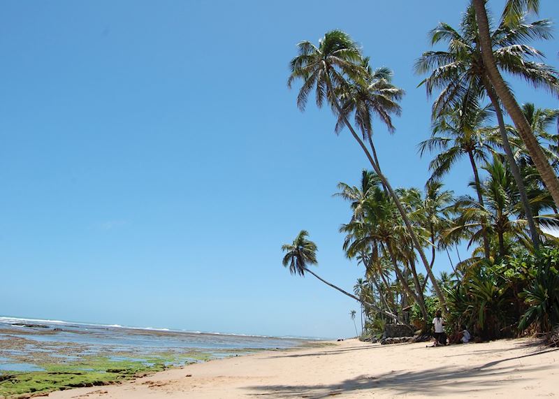 Beach at Praia do Forte, Brazil