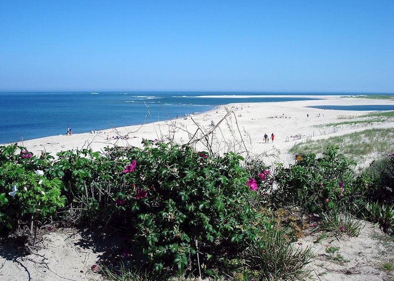 The beach at Chatham