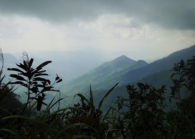 Kinabalu National Park, Malaysian Borneo