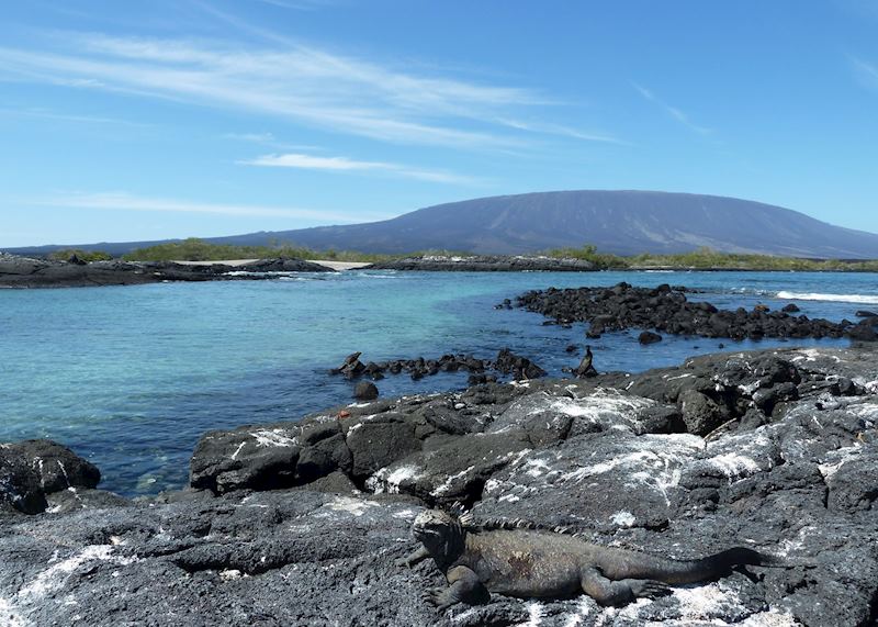 Fernandina Island, Galapagos Islands