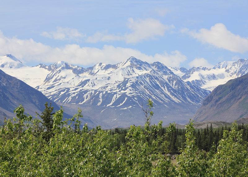 Scenery along the Richardson Highway