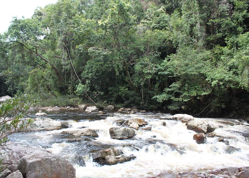 Taman Negara National Park