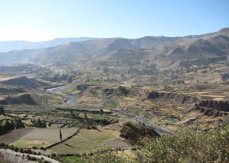 Colca Valley, Peru