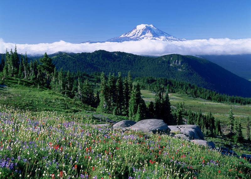 Mount Rainier