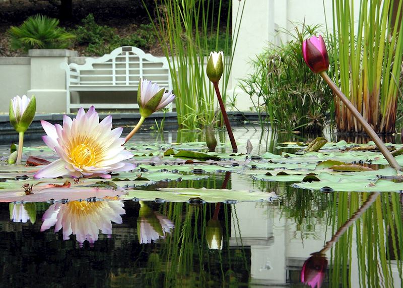 Birmingham Botanical Gardens