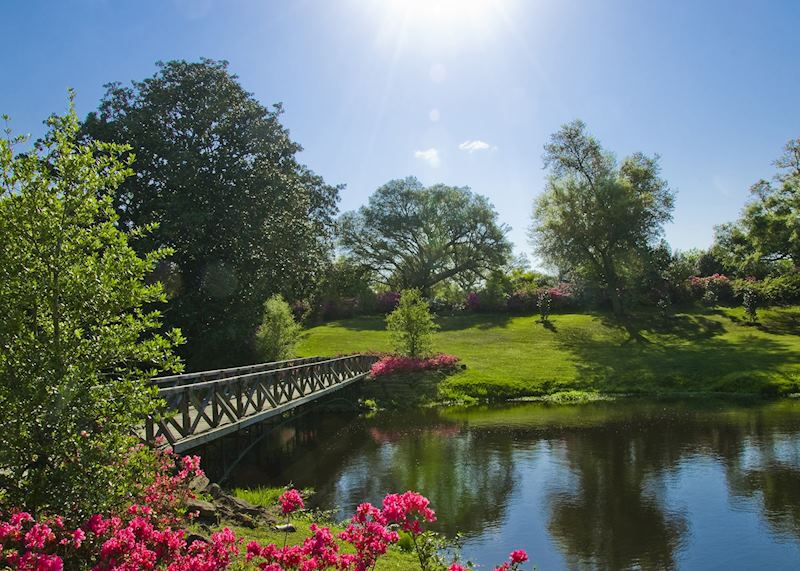 Bellingrath Gardens near Mobile