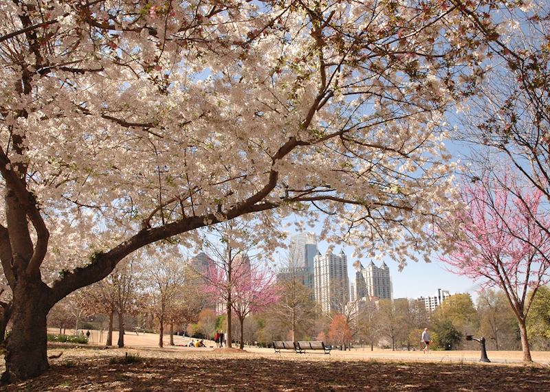 Piedmont Park, Atlanta