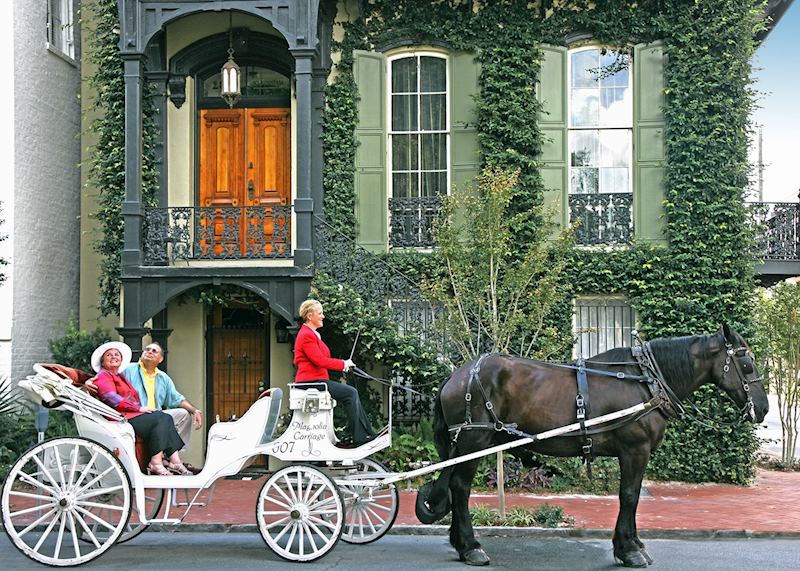 A carriage ride in Savannah