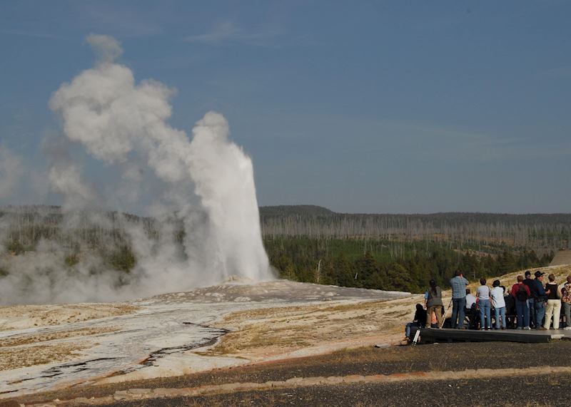 Geysers in Yellowstone National Park