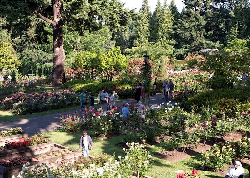 The International Rose Test Garden, Portland