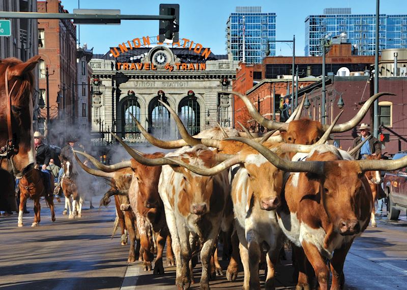 National Western Stock Show, Denver