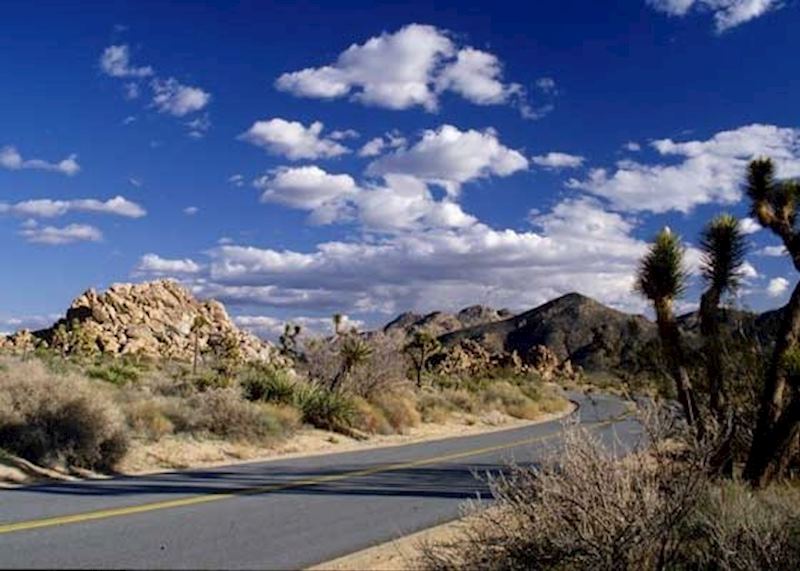Joshua Tree National Park